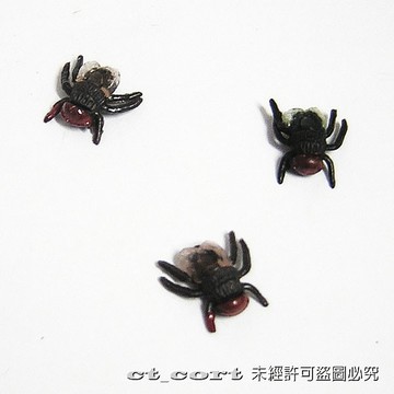 仿真小頭蒼蠅 / 假蒼蠅 黑蒼蠅 大便蒼蠅 整人玩具/嚇人/道具