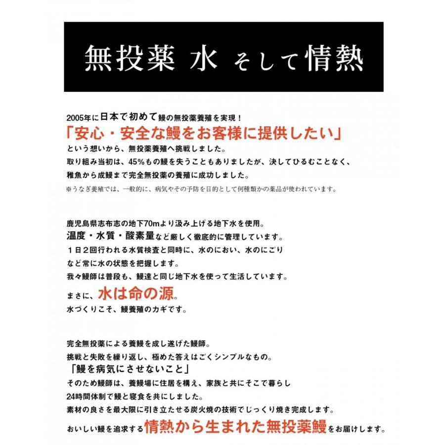 うなぎ ウナギ 鰻 蒲焼き 鰻蒲焼き 国産 鹿児島県産 無投薬 140g 4尾 お歳暮