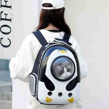 跨境寵物包新款透明寵物雙肩包透氣耐磨小型犬狗背包外出貓背包