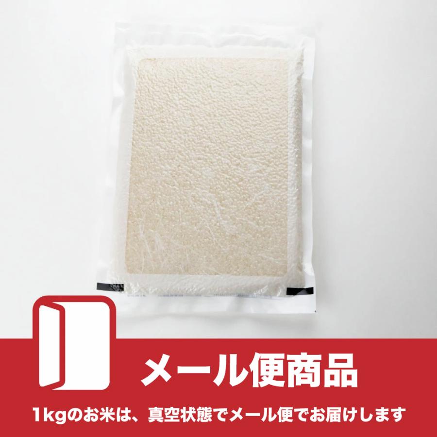 新米 令和５年度産 お米 1kg おぼろづき 北海道産 特別栽培米 上川郡東川町 生産者 佐竹 国弘さん 玄米 白米 分づき米 米 お米 北海道米