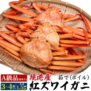 A級品 紅ズワイガニ 3杯～4杯 (合計1.2kg前後) 姿 かに ボイル カニ 蟹味噌 紅ずわい蟹 日本海 山陰 産直 国産 鳥取県 境港 べに