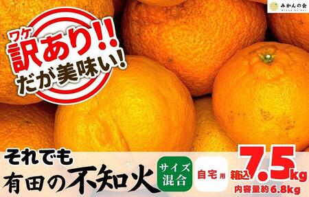 訳あり それでも 不知火 箱込 7.5kg(内容量約 6.8kg) サイズミックス 和歌山県産 産地直送 