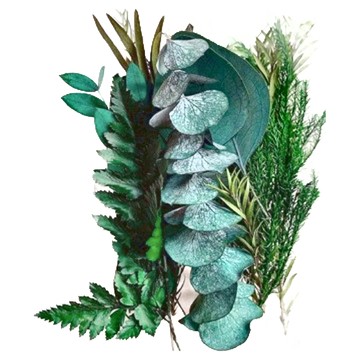 A-ONE 匯旺 乾燥花 Set 3個 A01 17 x 11.5 x 3.3 CM  翠綠大地