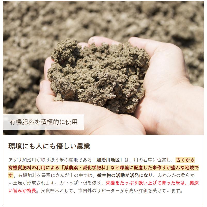 新潟産コシヒカリ「大峰米」精米2kg（2kg×1袋） 株式会社アグリ加治川 送料無料