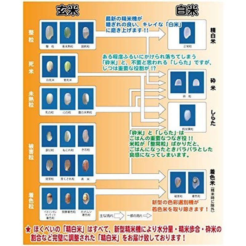 ななつぼし 白米 10kg (5kg×2) 令和３年産 北海道米 特A産地限定