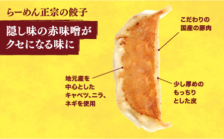 餃子20個入り