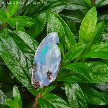✨土桑展精選：澳洲礫貝蛋白石裸石0211-8號 Opal ~象徵幸福與希望的神之石，聚財/招財