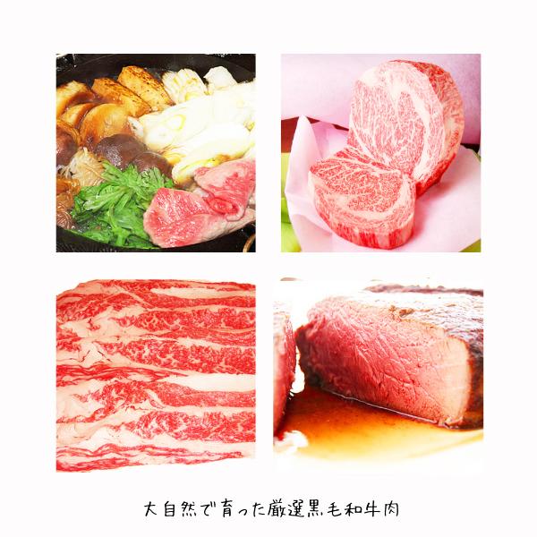 鳥取和牛 (ロース400g)  和牛肉 しゃぶしゃぶ A5 高級黒毛和牛（ギフト）