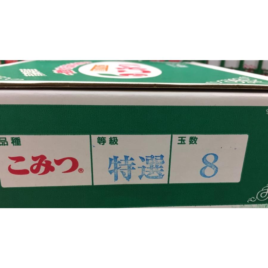 お歳暮　りんご こみつ 青森産 ６〜10玉 特選