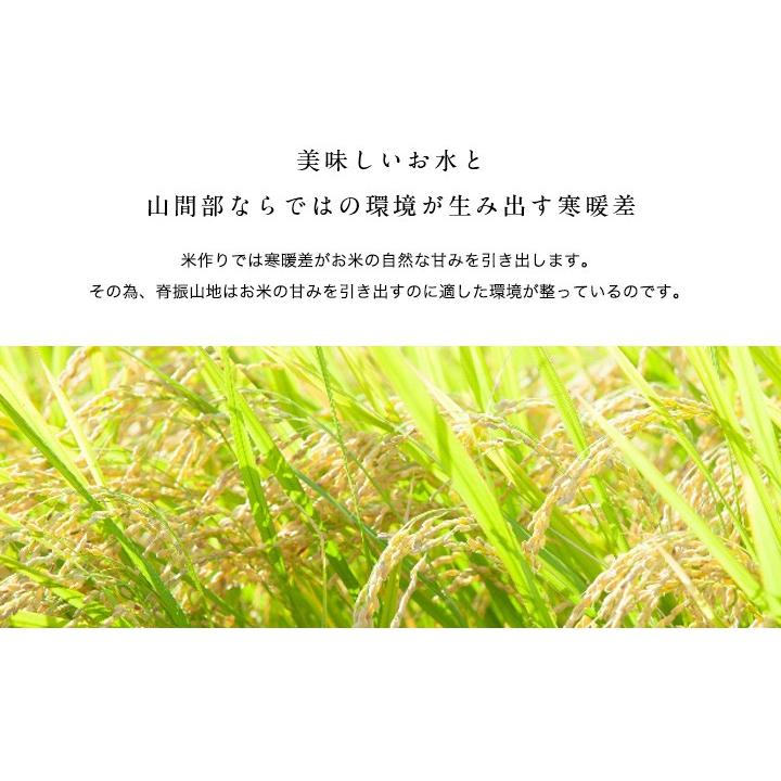 新米　5年産　佐賀県白米20kg(5kg×4袋) お米 米 佐賀県産 