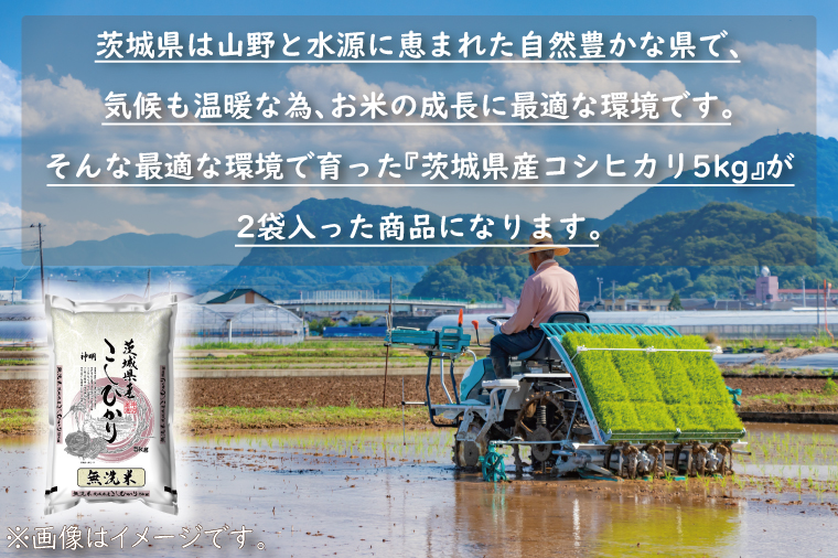  令和5年産 新米 無洗米 茨城 コシヒカリ 10kg (5kg×2袋) ×3カ月 米 お米 おこめ 白米 ライス ご飯 精米 こしひかり 国産 茨城県産 定期便