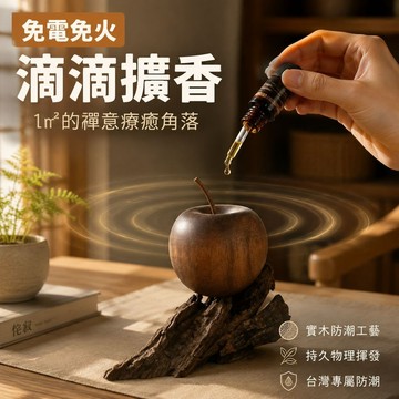 台灣出貨🔥擴香木 香薰木 實木擴香 留香木 擴香禮盒 擴香器 精油擴香木 精油 原木 新年禮物 聖誕 情人節禮物