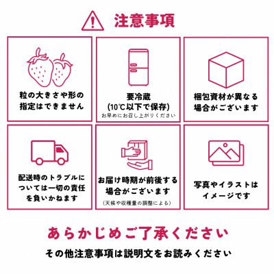 ふるさと納税 田川市 あまおうプレミアム 約270g×4パック(農家直送)(田川市)