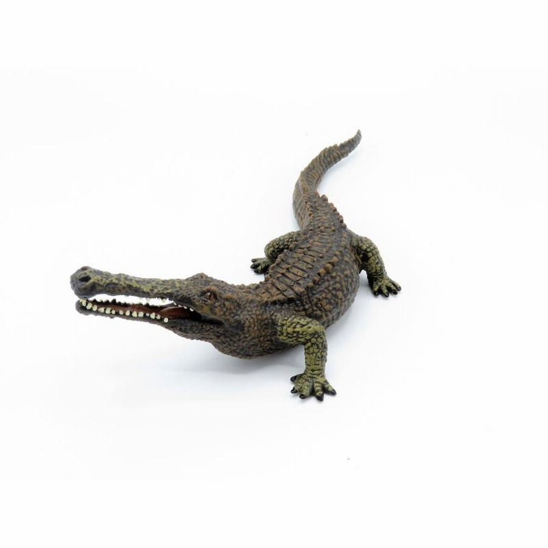 ワニ 715illXRbnL._UF350,350_QL80_.jpg