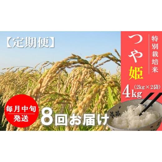 ふるさと納税 山形県 三川町 令和5年産竹原田ファームのつや姫4kg×8回