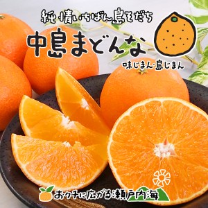 希望の島 中島まどんな 2kg サイズ込 紅まどんなと同品種 愛媛 中島産 あいか 愛媛果試第28号 送料無料