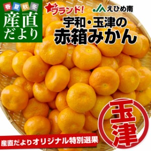 愛媛県より産地直送 JAえひめ南 玉津共選場 玉津の赤箱みかん 小玉 Sから2Sサイズ 5キロ 送料無料 蜜柑 みかん