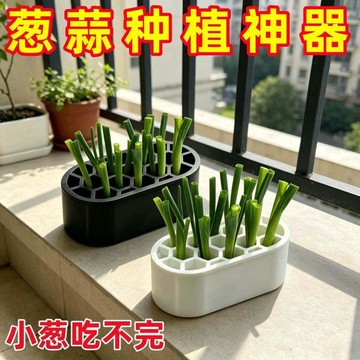 🔥臺灣出🔥升級熱銷蔥花水培套裝免土免技巧快速收割陽臺窗臺家庭種植盒