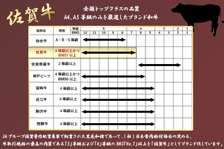 A4～A5等級限定 佐賀牛リブロースステーキ 300g×2枚(合計600g) A4 A5 国産 牛肉 霜降り ブランド牛 ステーキ BBQ 焼肉 キャンプ アウトドア 贈り物 ギフト「2023年 令和5年」