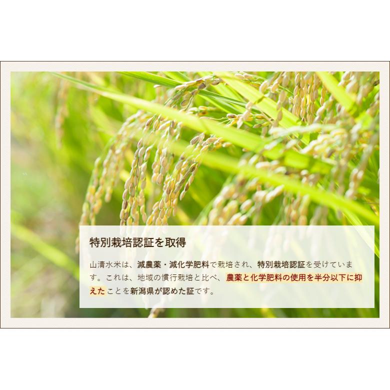 特別栽培米（減農薬・減化学肥料）魚沼産 棚田栽培 山清水米コシヒカリ（従来品種）玄米10kg（5kg×2）NPO法人地域おこし 送料無料