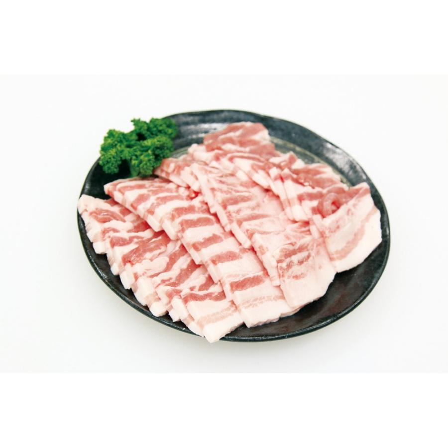 宮崎 SPF日南もち豚 バラ焼肉用 500g ギフト 精肉