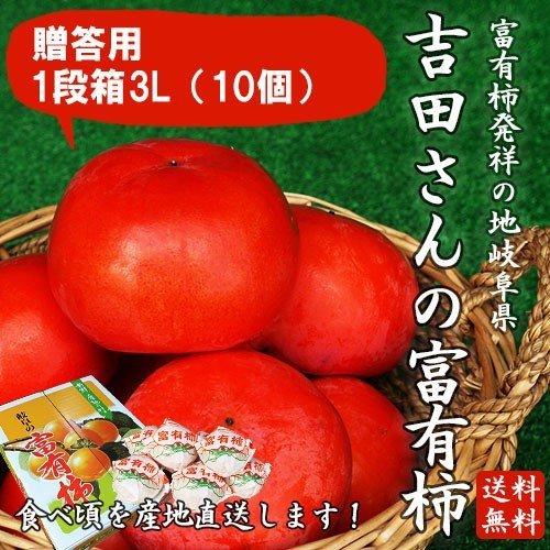 岐阜県産 贈答用「吉田さんの富有柿1段箱3Lサイズ 10個」（送料無料）