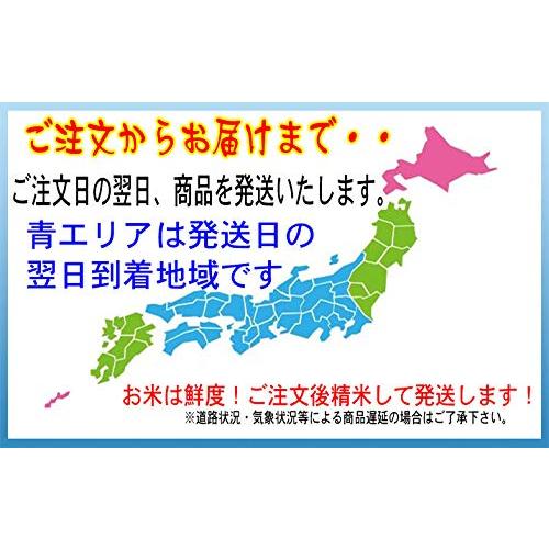 新米 令和5年産 熊本 阿蘇 コシヒカリ 特別栽培 5kg (玄米のまま（5ｋg）)