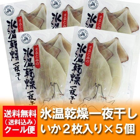 イカ 一夜干し 送料無料 いか一夜干し 氷温乾燥 北海道産 イカの一夜干し 真イカ一夜干し 5個セット ギフト いか 贈答品 イカの一夜干し