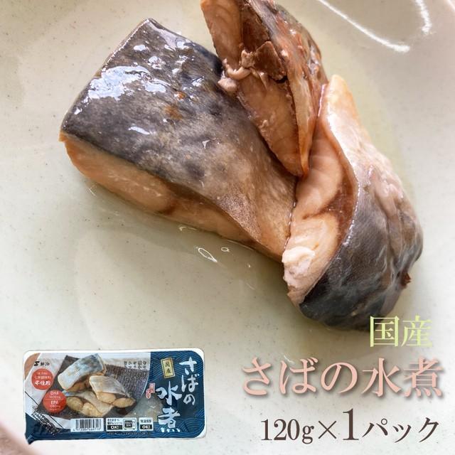 魚 国産  さばの水煮 120g×2パック 保存料・化学調味料不使用  送料無料 メール便