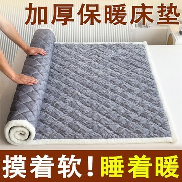 🚀免運🚚臺灣出貨🚚加厚塔芙絨牀褥鋪墊被褥子牛奶冬季牀單學生宿舍牀墊鋪底軟墊單人