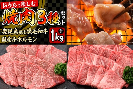 b0-087 鹿児島県産黒毛和牛肩ロース・モモ・国産ホルモンの焼肉3種セット＜計1kg＞