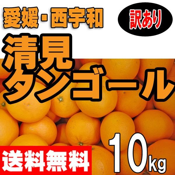 愛媛西宇和産　清見　訳あり家庭用　１０ｋｇ送料無料　産地直送