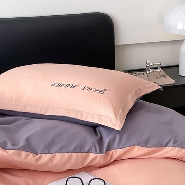 👀免運🏆有貨在臺🏆加厚磨毛秋季枕套一對水洗棉刺繡成人通用單隻枕頭套咖色灰色高級