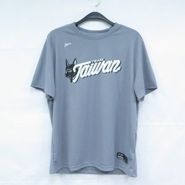 mitchell & ness TEAM Taiwan CPBL 聯盟授權 短袖上衣 T恤 WCBTS04C 灰