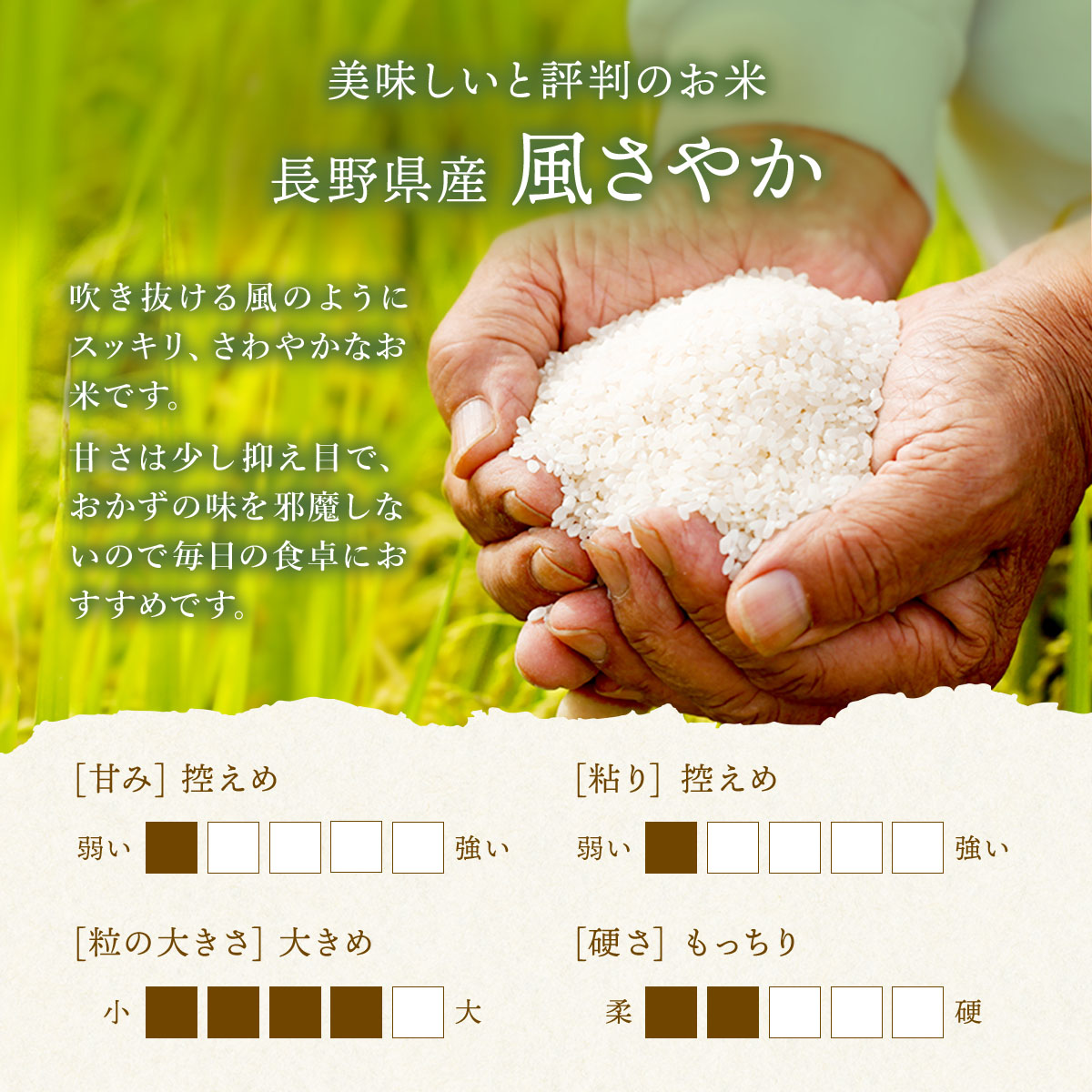 新米 令和5年産 長野県産 風さやか 流るる 10kg(5kg×2袋)