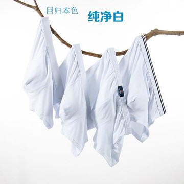 3條裝莫代爾全棉男士結婚白色平角內褲 竹纖維純棉短褲頭男底褲衩
