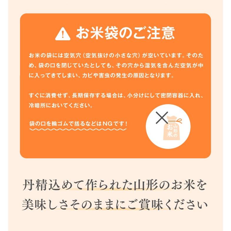 お米 10kg (5kg×2袋) はえぬき 山形県産 令和5年産 精米 お米 rhn1005