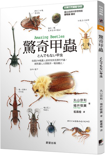 驚奇甲蟲