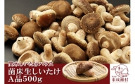 菌床生しいたけ（A品）500g 椎茸