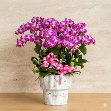 榮昇祝賀桌上型蘭花/f1150301/中號/粉紫/1入