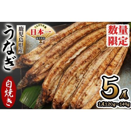 ふるさと納税 鹿児島県産 伊崎田のうなぎ白焼き ＜120g以上＞× 5尾(計600g以上) b7-005 鹿児島県志布志市