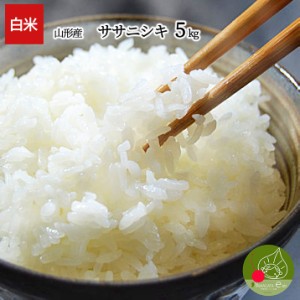 令和5年産 新米 お届け中! 山形県産 ササニシキ 白米 5kg 一等米 精米 ギフト 新生活応援 産地直送 のし プレゼント おいしい 代表米 お