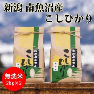 南魚沼産コシヒカリ(無洗米2kg×2袋)を全3回