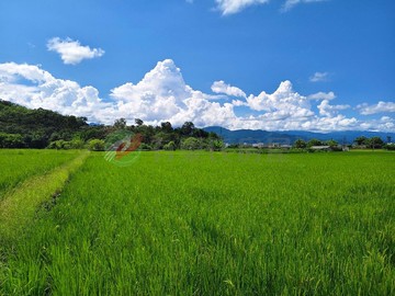 三星世外桃花源山景環繞資深地主農建地｜宜蘭縣三星鄉拱照段