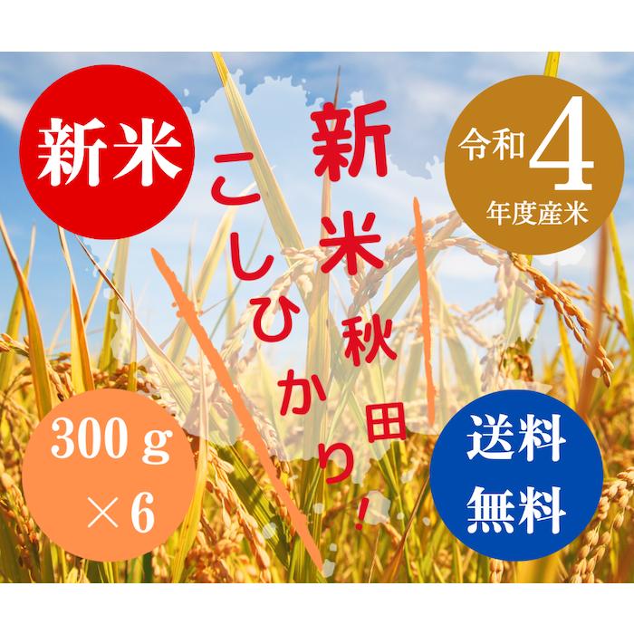 送料無料 令和５年度米 渡部浩見 漢方農法 特別栽培米 こしひかり ３００g ６パック