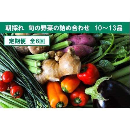 ふるさと納税 旬の朝採れ土佐野菜詰め合わせ(10〜13品目) 高知県香美市