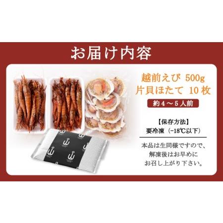 ふるさと納税 海鮮 BBQ おつまみセット「越前えび ＆ 片貝ほたて」約4〜5人前（越前えび500g 片貝ほたて10枚） [e04-a063] 福井県越前町