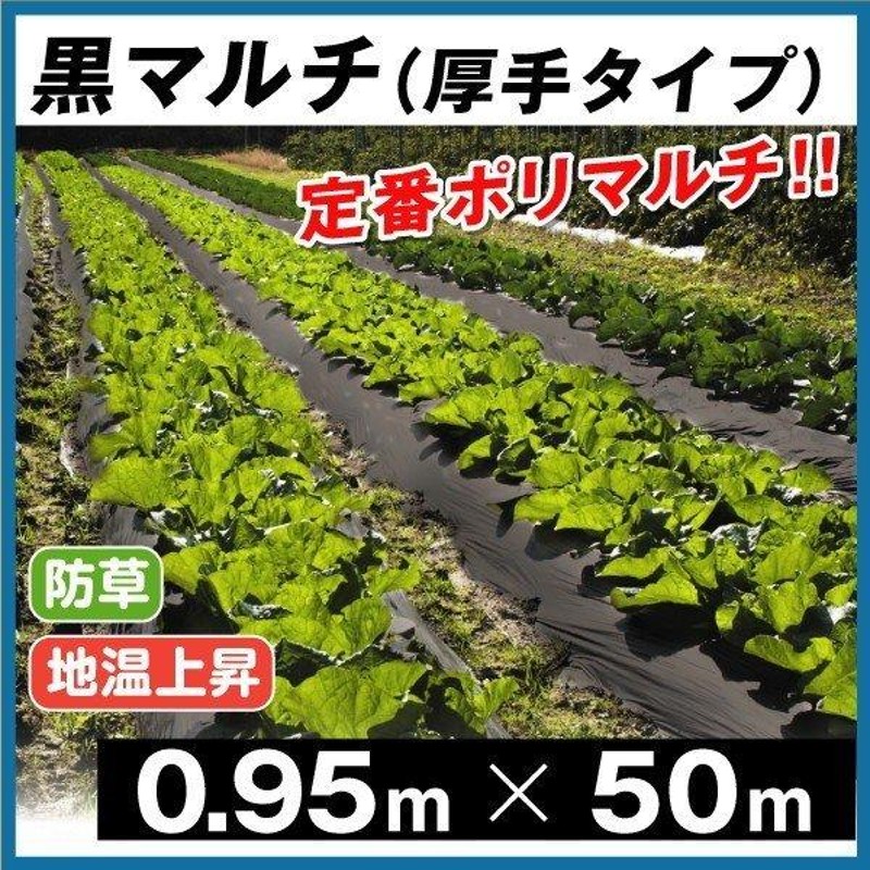 農業用マルチシート　ムシコン　セミワイド黒　(イチゴ用)  長さ200m×厚さ0.02mm×幅135cm　２本セット - 2