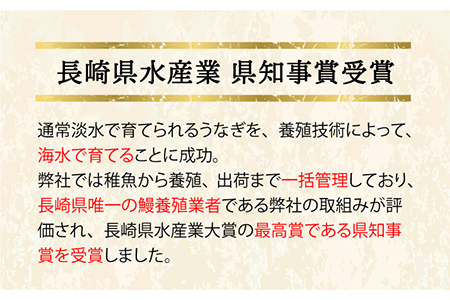 おうごん うなぎ 300g[KAB138]  長崎 平戸 魚介類 魚 うなぎ 鰻 ウナギ 蒲焼 かばやき 定期便