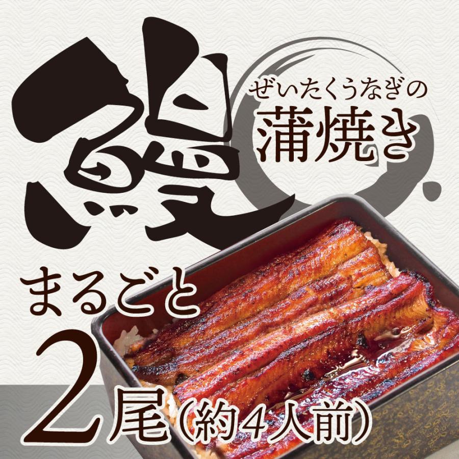 うなぎ蒲焼 2本入り（約200ｇ×2）たれ・山椒付き 鰻 かば焼き 土用 丑の日 湯煎 レンジOK 簡単解凍するだけ 惣菜 冷凍当日発送